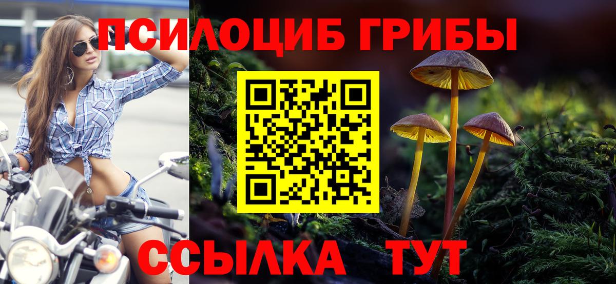 Галлюциногенные грибы ЛСД Вологда