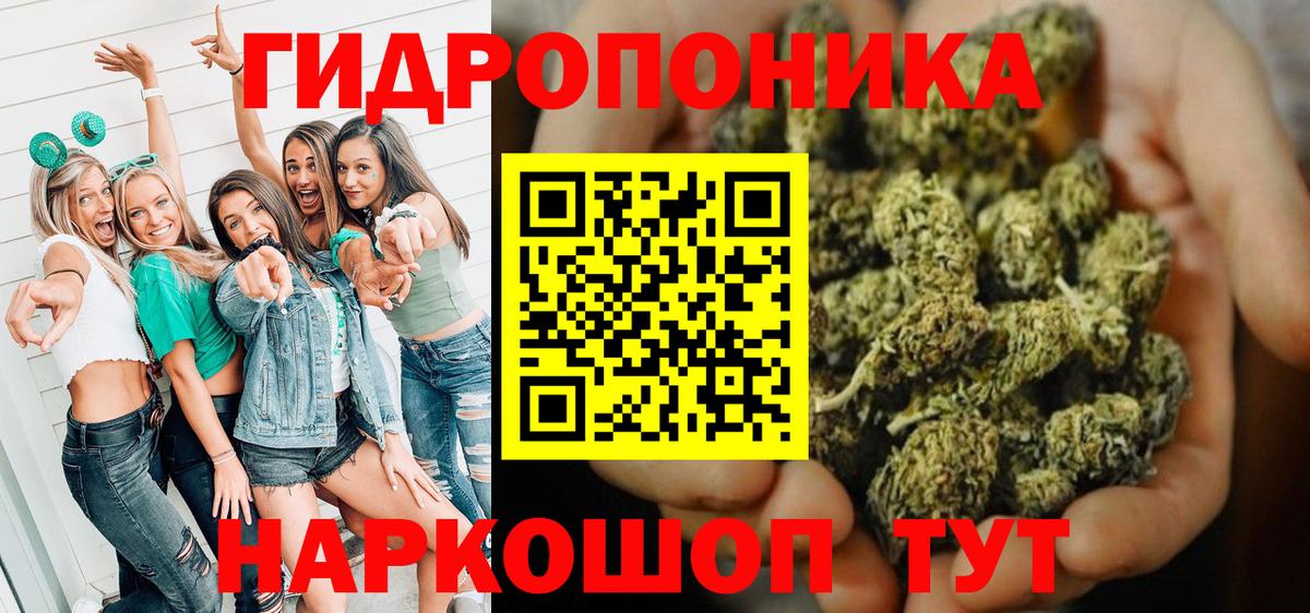 МАРИХУАНА THC 21%  Вход с VPN  МАРИХУАНА гибрид  Вологда  Бошки марихуана марихуана 